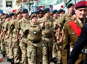Armed Forces Day Parade 2014
