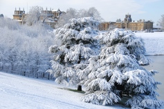 Blenheim Palace in the snow