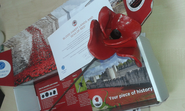 Tower of London ceramic poppy