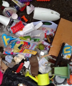 Fly tipping Poynter Little Gerpins Lane 110714