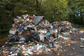 Parklands Upminster flytipping 281015