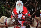Father Christmas and real reindeer