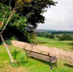 Havering Country Park in sunshine