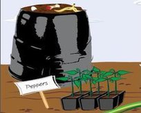 Composting Image