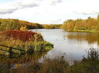 Bestwood country park