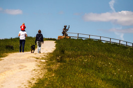 Spring walk country park