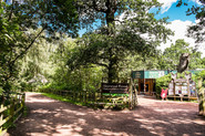 Sherwood Forest Country Park