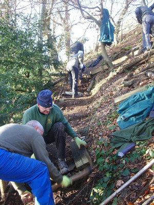 Volunteers Working in Rectory Wood