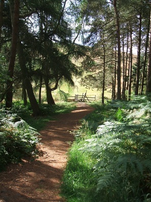 Pontesford Hill Path