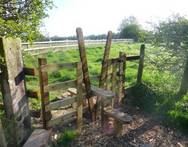 Squeeze stile at Albrighton