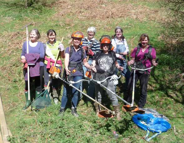 Long Mynd Bridleways P3