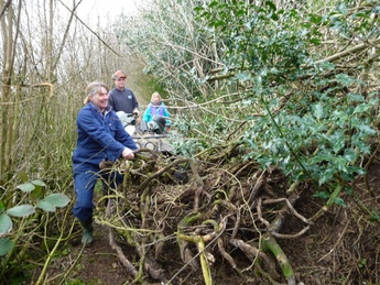 Long Mynd Group Dragging Brash