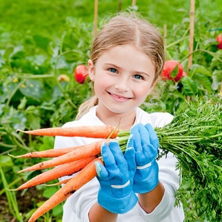 carrots