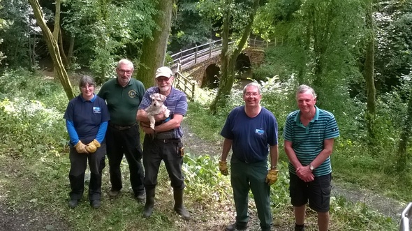 New England Volunteers