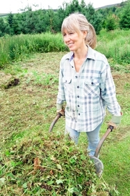 Garden - Waste - foliage - Wheelbarrow