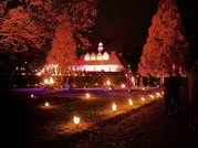 Image of the Fire Garden - by kind permission of Crisp Photography and Appetite Stoke