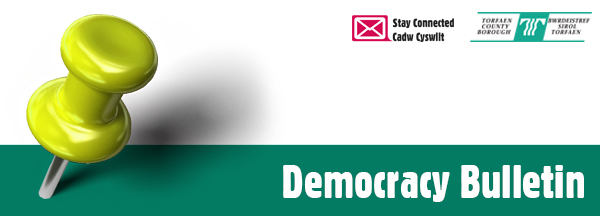 Democracy Bulletin Banner