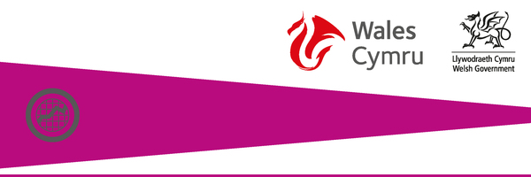 Financial and Professional Services logo