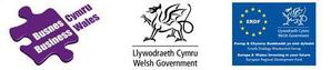 Social Business Wales funders logos
