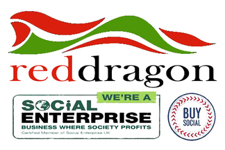 Red Dragon Flagmakers logo