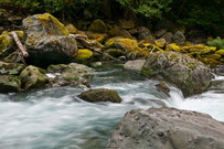 clean water act