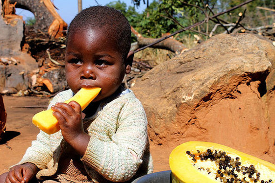 A Child in Mozambique eats fruit
