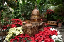 Capitol at Seasons Greenings