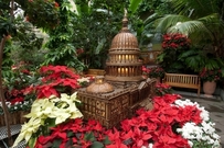 Seasons Greenings Train