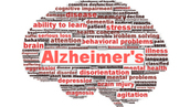 a brain with words related to alzheimer