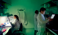 Scientists conducting whole genome sequencing in laboratory.