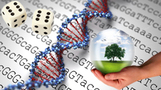 a pair of die, DNA and a hand holding a globe with a tree inside with sequencing in the background