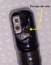  Distal end, Model TJF-Q180V (Olympus) â?? Illustrating the orientation of forceps elevator in the (a) â??lowered/ closedâ?? position and (b) â??raised/ opene