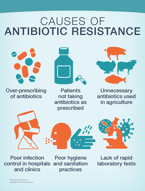 Antibiotic resistance emergence and selection over bacterial through | Download Scientific 