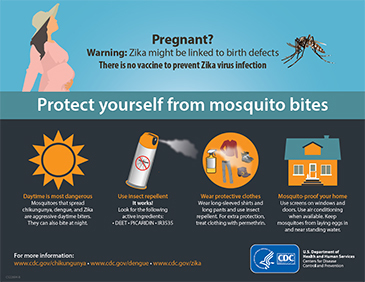Zika Pregnancy Poster