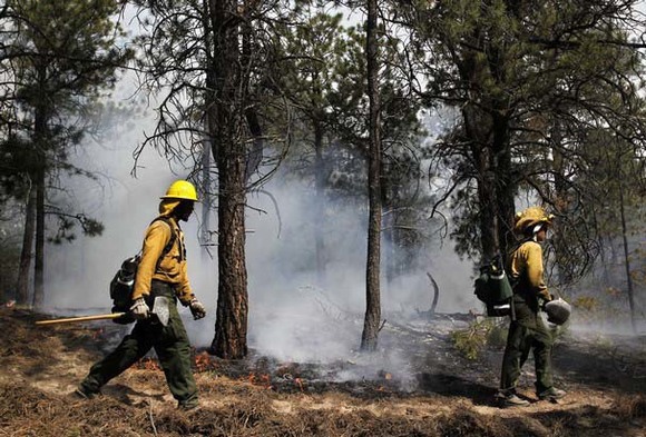 AmeriCorps NCCC members work the Black Forest Fire in CO