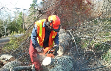 AmeriCorps Members with Maine Conservation Corps clean up form recent stroms