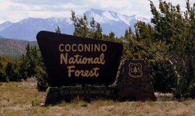 Coconico National Forest