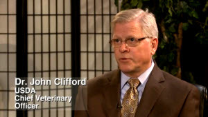 Dr. Clifford Video on Avian Influenza