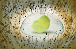 Illustration by Jeffrey Chase Delaware Fresh from the Field