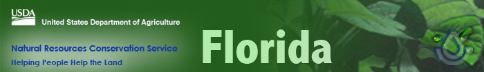 Florida_NRCS_Helping People Help the Land