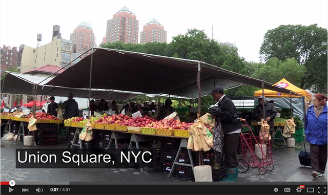 Urban Agriculture in New York City