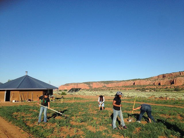 Through the USDA’s Animal and Plant Health Inspection Service 2015 Safeguarding Natural Heritage (SNH) program, Diné College summer youth students lea