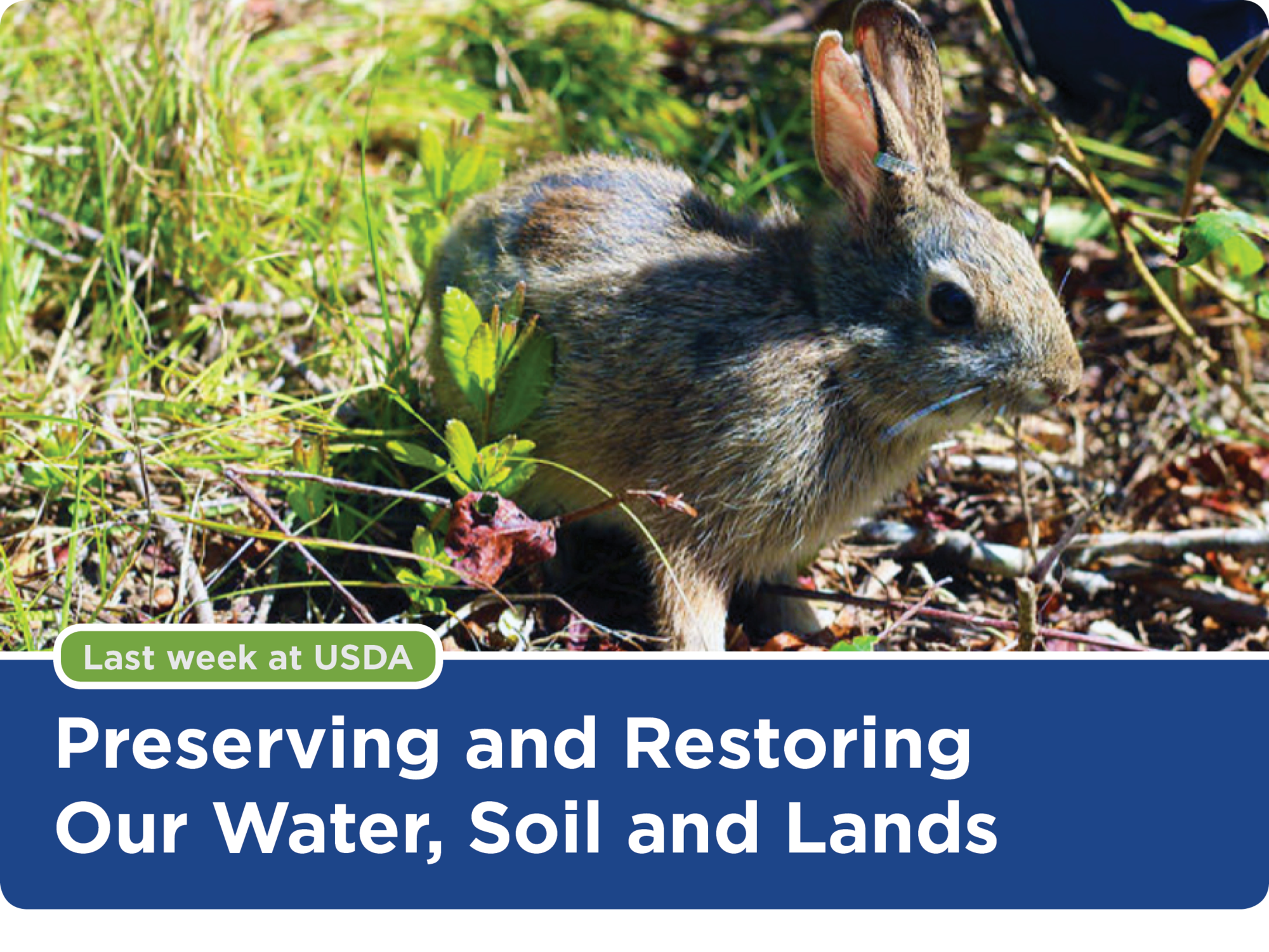 Preserving and Restoring Our Water, Soil and Lands