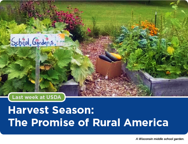Harvest Season:  The Promise of Rural America - Photo: A Wisconsin middle school garden. 
