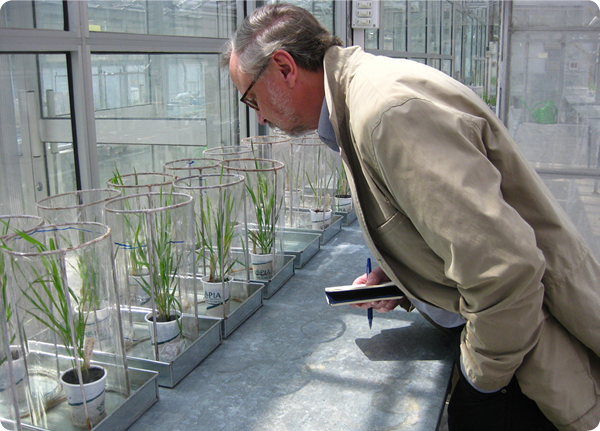 David Marshall, research leader of the USDA-ARS Plant Science Research Unit
