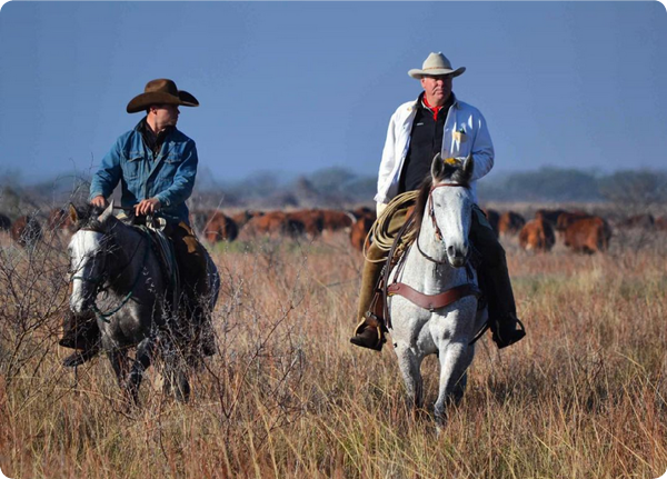 Texas rancher Bob McCan on a cattle ranch