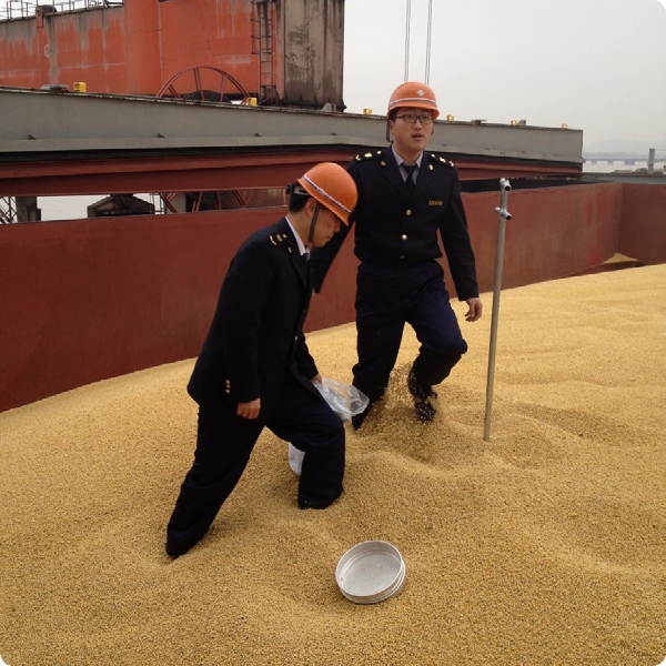 People's Republic of China General Administration of Quality Supervision, Inspection and Quarantine (AQSIQ) officials taking samples of U.S. soybeans 