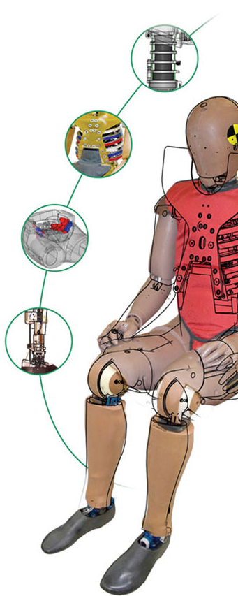 New crash-test dummy