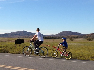 An adult and child bicycle along a road shoulder in Wichita Mountains Wildlife Refuge. Two bison are in the background.