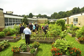 school garden